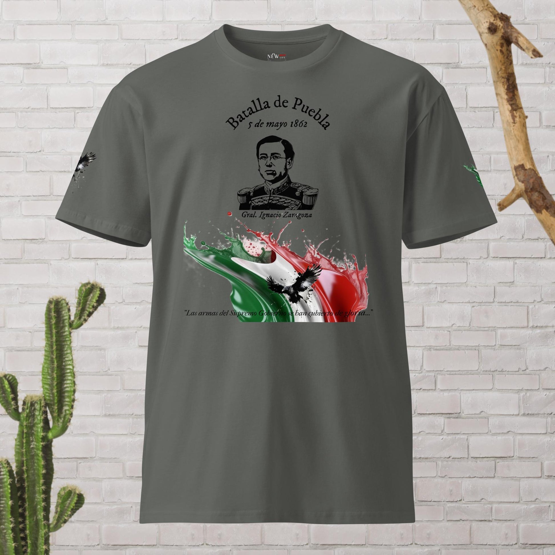 Cinco de Mayo t-shirt (2)